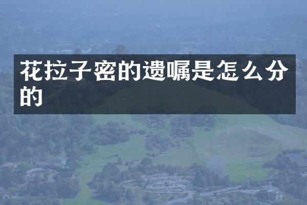 花拉子密的遗嘱是怎么分的