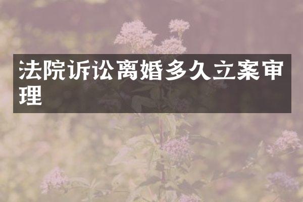 法院诉讼离婚多久立案审理