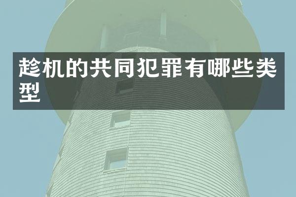 趁机的共同犯罪有哪些类型