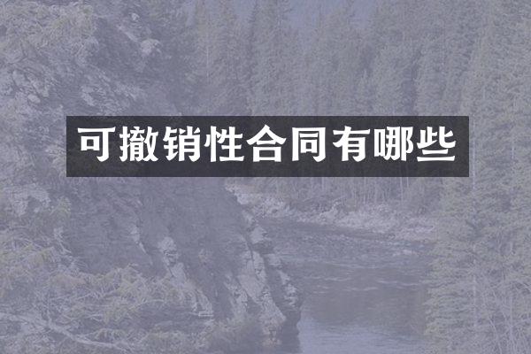 可撤销性合同有哪些