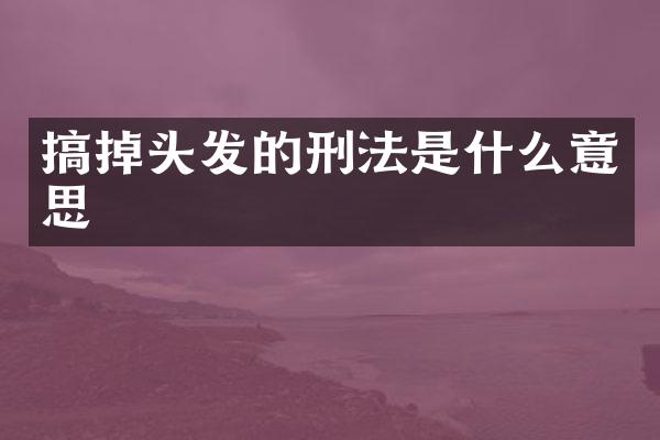 搞掉头发的刑法是什么意思