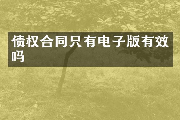 债权合同只有电子版有效吗