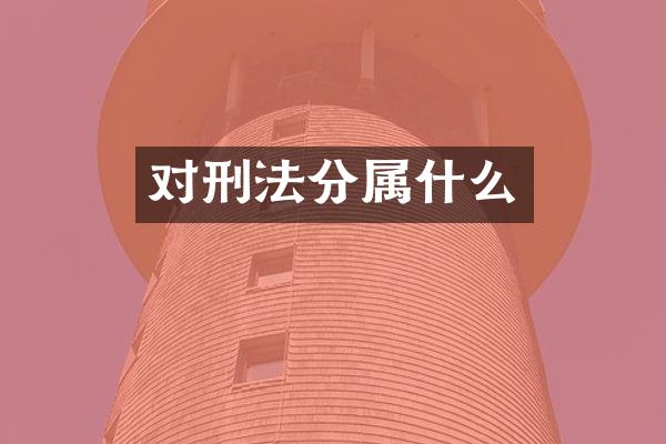 对刑法分