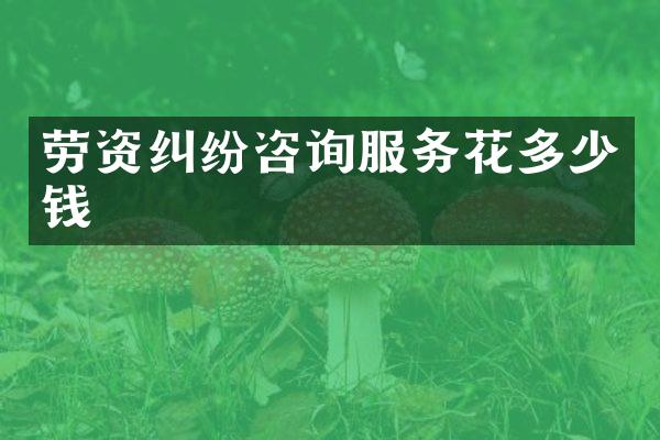 劳资纠纷咨询服务花多少钱