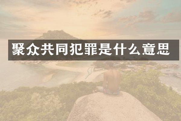 聚众共同犯罪是什么意思