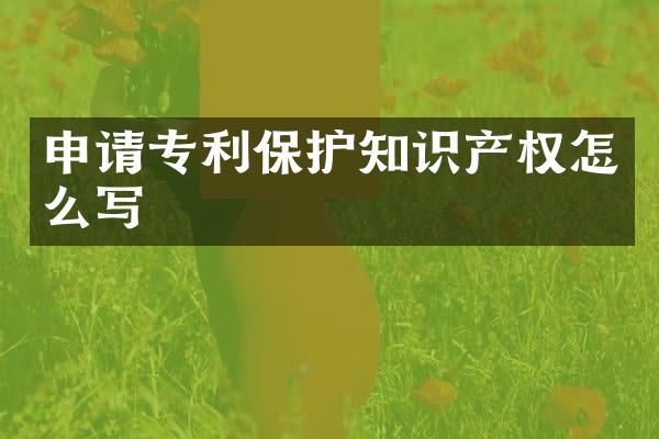 申请专利保护知识产权怎么写