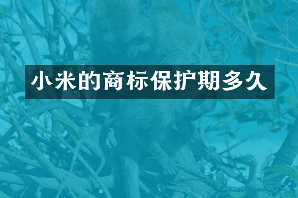 小米的商标保护期多久
