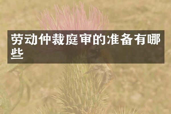 劳动仲裁庭审的准备有哪些