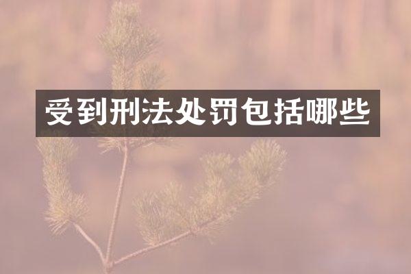 受到刑法处罚包括哪些