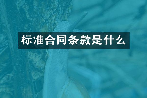 标准合同条款是什么
