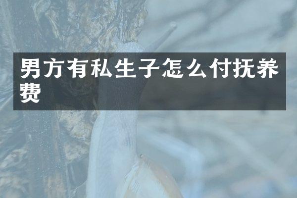 男方有私生子怎么付抚养费