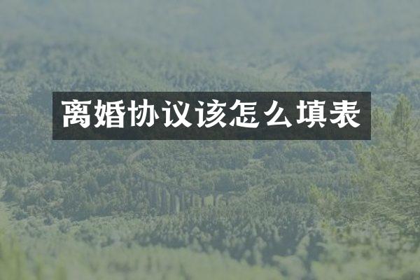 离婚协议该怎么填表
