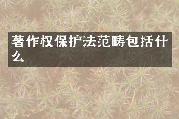 著作权保护法范畴包括什么