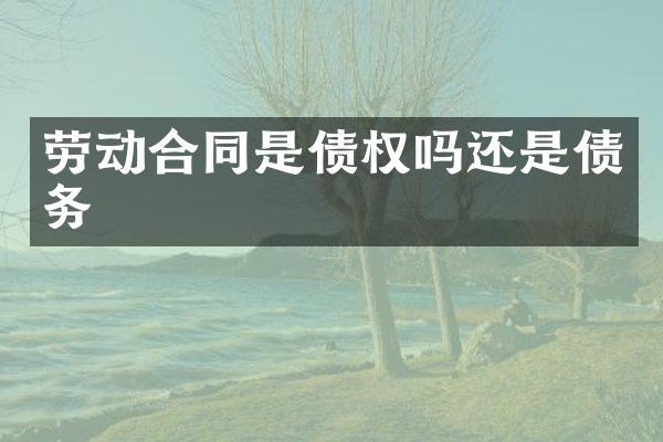 劳动合同是债权吗还是债务