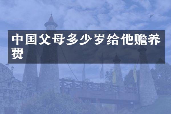 中国父母给他赡养费