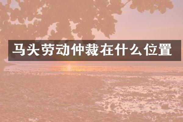 马头劳动仲裁在什么位置