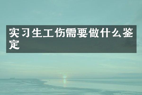 实习生工伤需要做什么鉴定