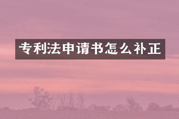 专利法申请书怎么补正