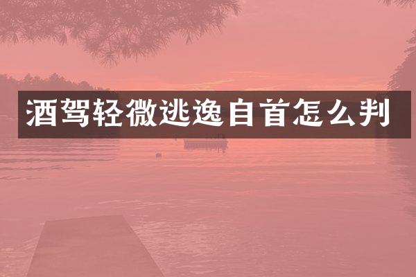 酒驾轻微逃逸自首怎么判