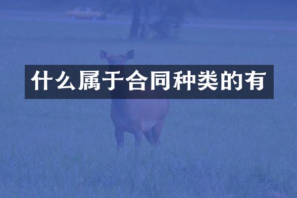 什么属于合同种类的有