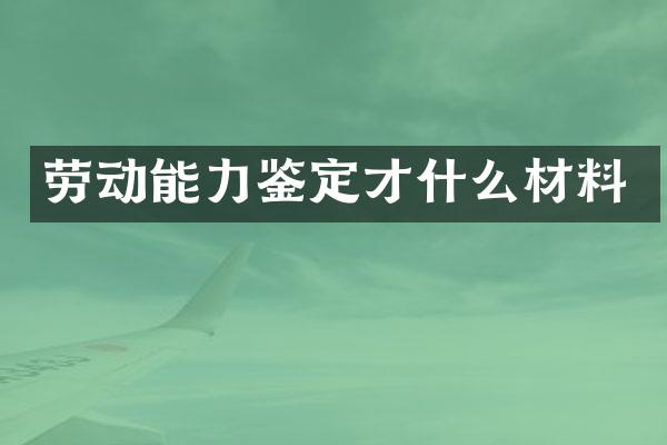 劳动能力鉴定才什么材料