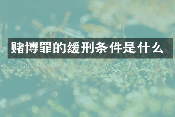 罪的缓刑条件是什么
