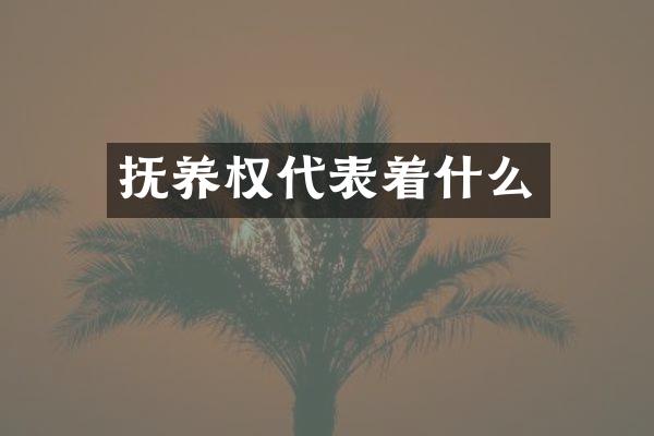 抚养权代表着什么