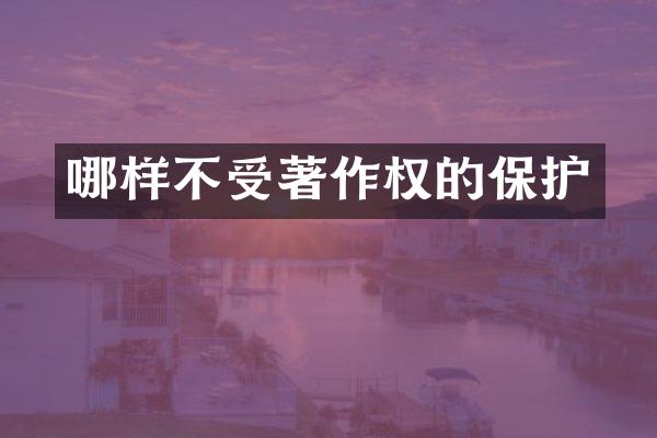 哪样不受著作权的保护