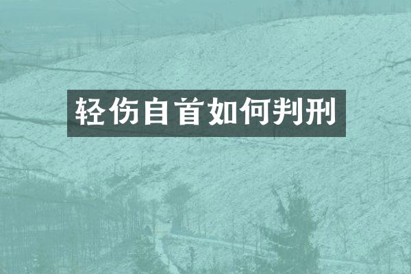 轻伤自首如何判刑