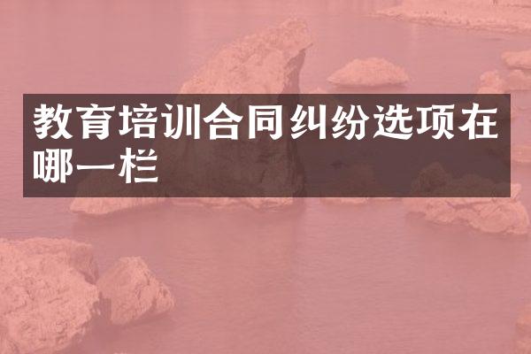 教育培训合同纠纷选项在哪一栏