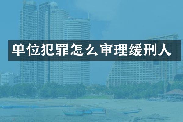 单位犯罪怎么审理缓刑人