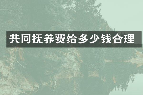 共同抚养费给多少钱合理