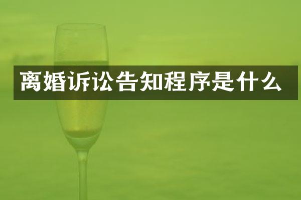 离婚诉讼告知程序是什么