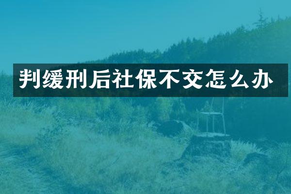 判缓刑后社保不交怎么办