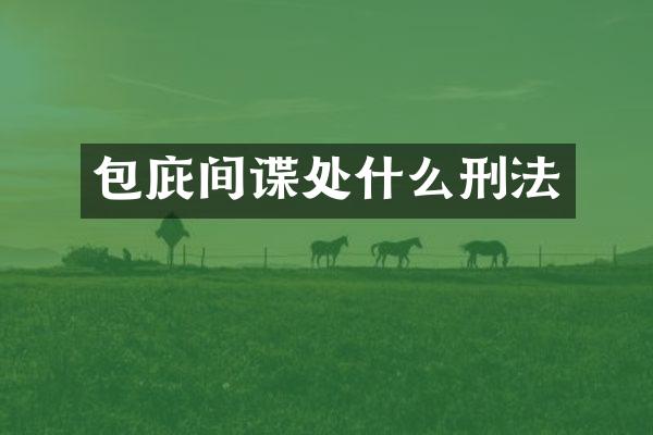 包庇间谍处什么刑法