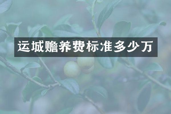 运城赡养费标准多少万