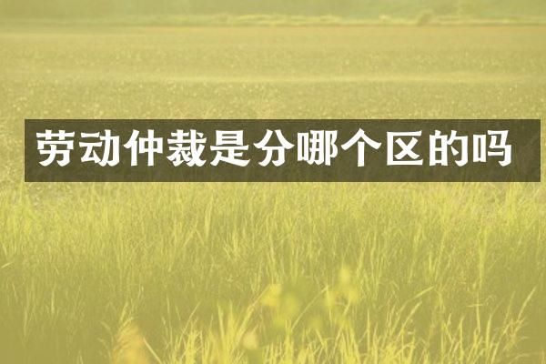 劳动仲裁是分哪个区的吗