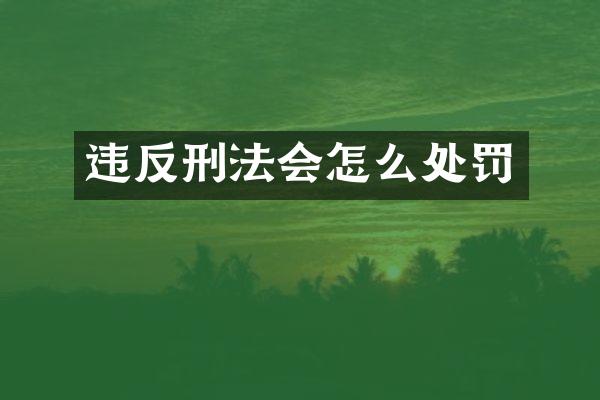 违反刑法会怎么处罚
