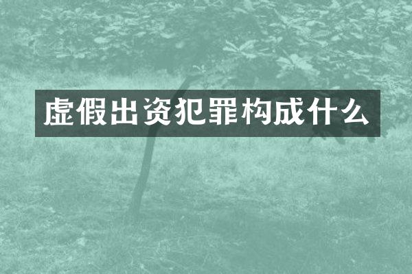 虚假出资犯罪构成什么
