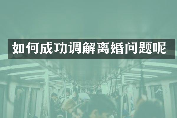 如何成功调解离婚问题呢