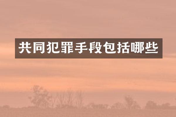 共同犯罪手段包括哪些