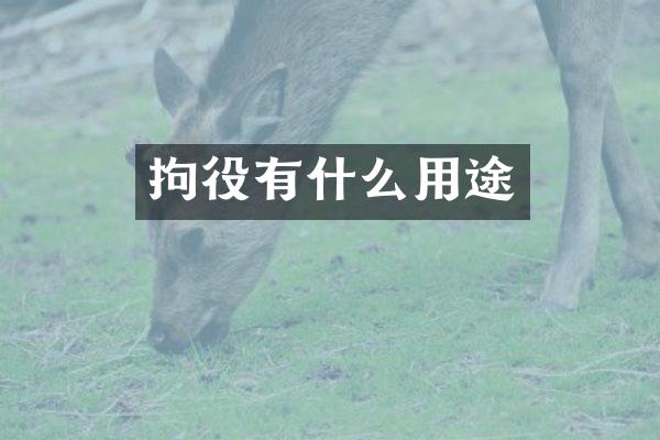 拘役有什么用途