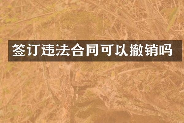 签订违法合同可以撤销吗