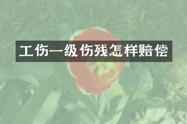 工伤一级伤残怎样赔偿