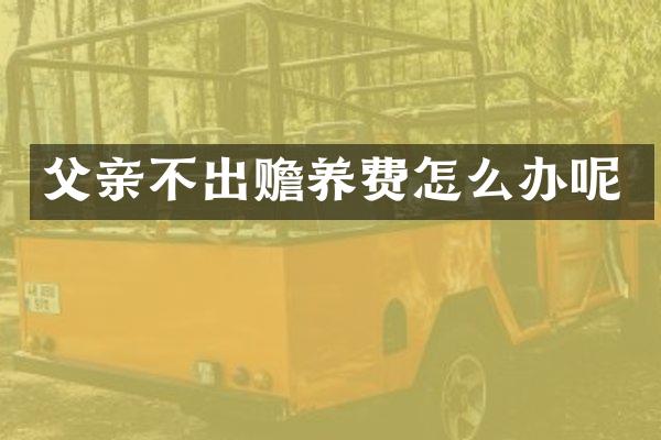 父亲不出赡养费怎么办呢