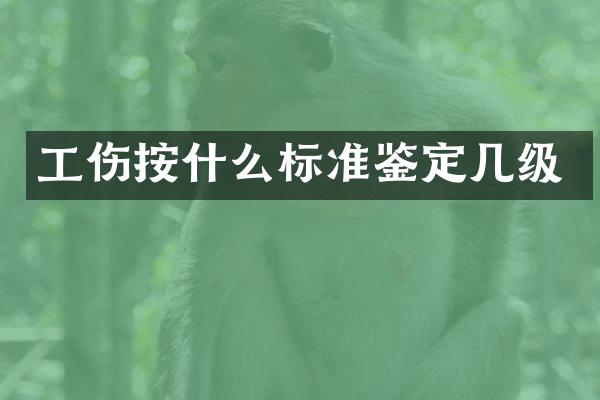 工伤按什么标准鉴定几级