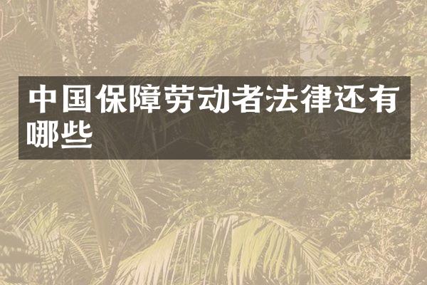 中国保障劳动者法律还有哪些