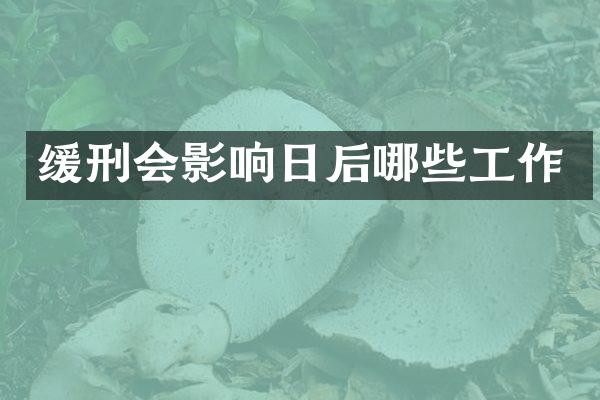 缓刑会影响日后哪些工作