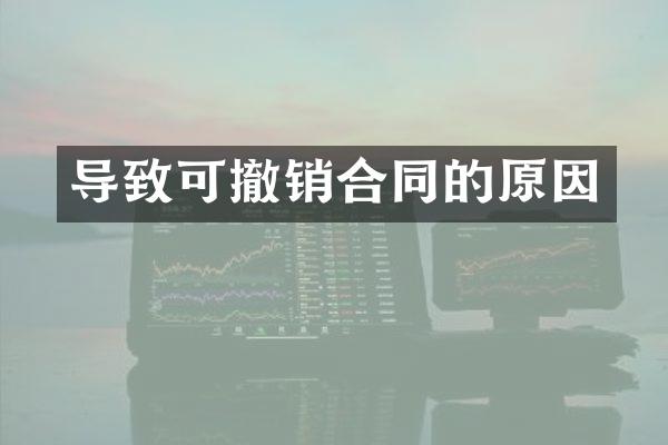 导致可撤销合同的原因