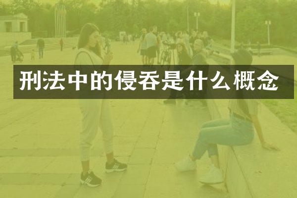 刑法中的侵吞是什么概念